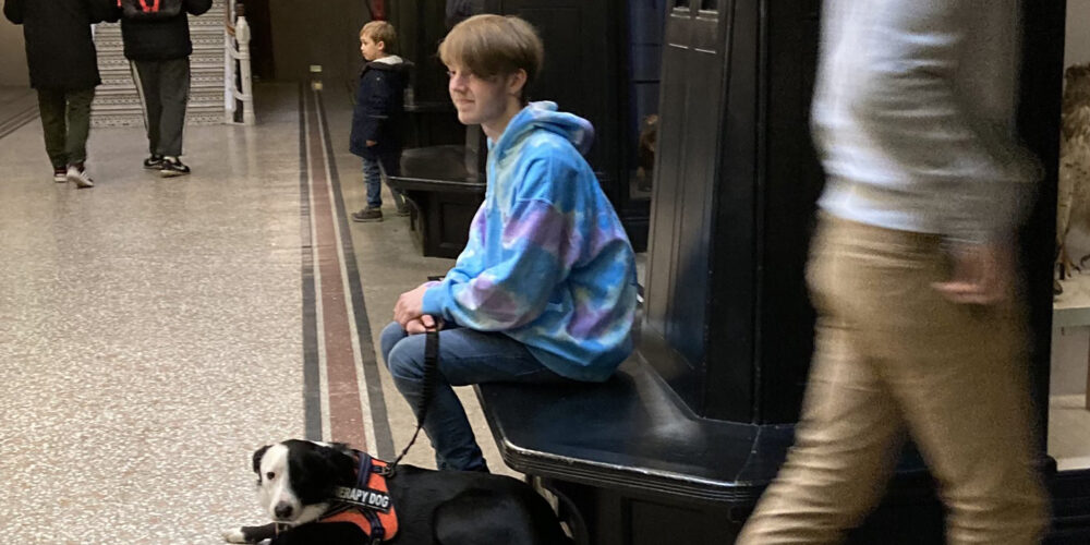 A therapy dog and a dog trainer sitting together in the Museum